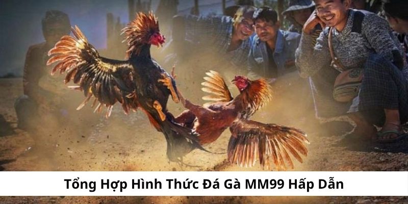 cac-hinh-thuc-dau-ke-hap-dan-co-tai-mm99
