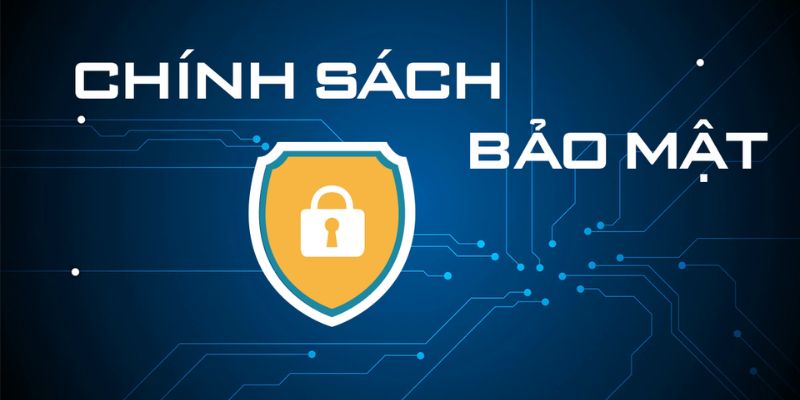 gioi-thieu-ve-chinh-sach-bao-mat-dv88 (2)
