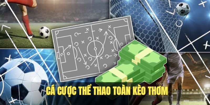 Các ưu điểm khiến đông đảo thành viên săn đón