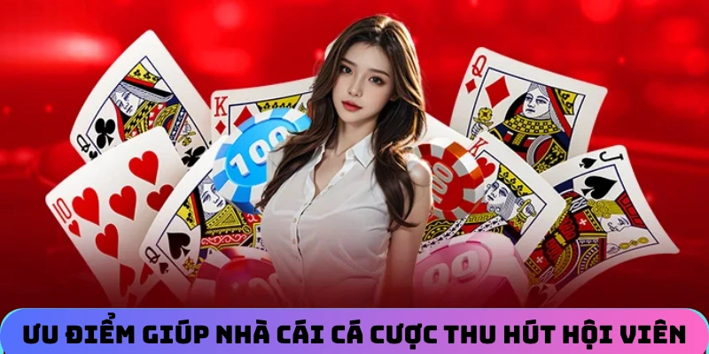 uu-diem-giup-nha-cai-ca-cuoc-thu-hut-hoi-vien