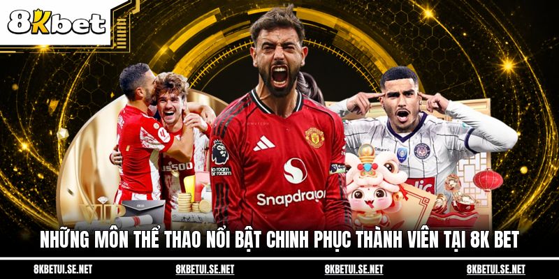 Những môn thể thao nổi bật chinh phục thành viên tại 8K BET